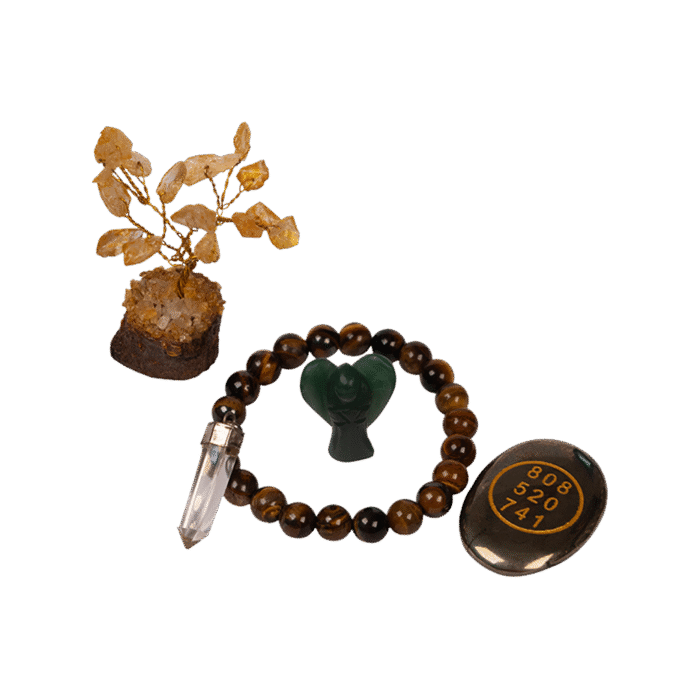 Career Growth Combo Kit Crystal cat