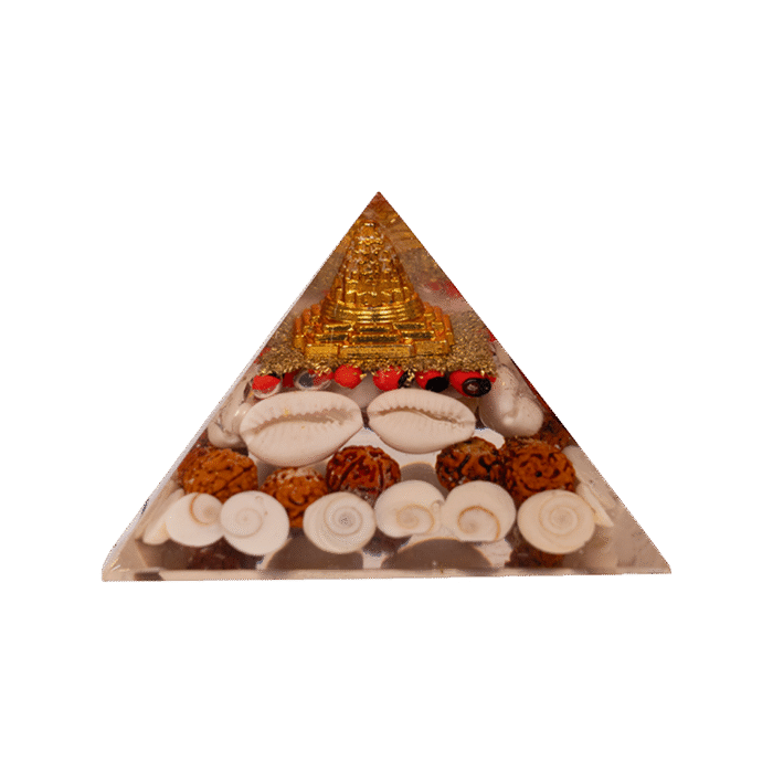 Shreeyantra Gomti Chakra Orgone Pyramid Crystal cat