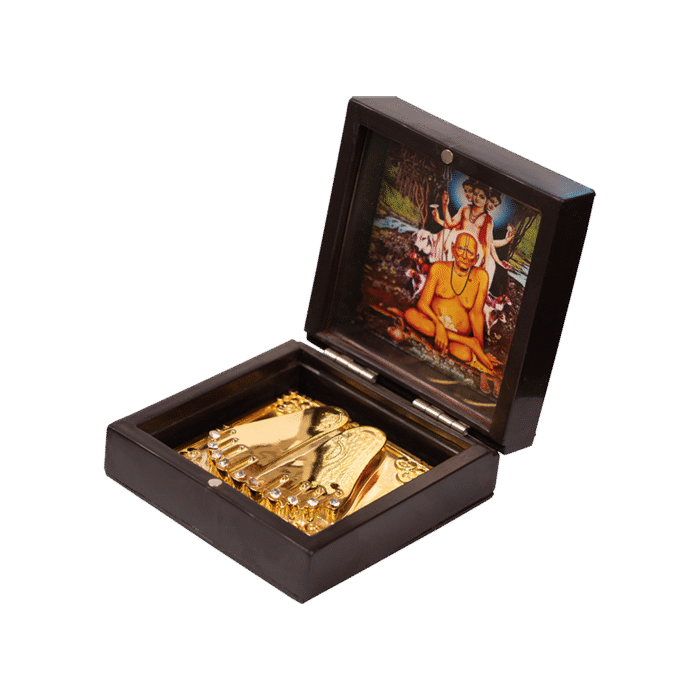 Swami Dattguru Charan Peti Crystal cat